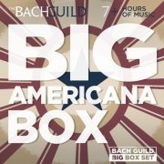 VA - Big Americana Box (2015)