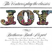 The Ventures - Joy (1972)