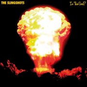 The Slingshots - Is This Soul? (2014)