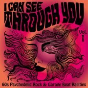 Various Artists - I Can See Through You: 60s Psychedelic Rock & Garage Beat Rarities, Vol. 1 (2021)