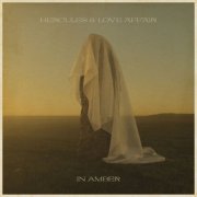 Hercules & Love Affair - In Amber (2022) [Hi-Res]