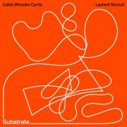 Caleb Wheeler Curtis & Laurent Nicoud - Substrate (2022) [Hi-Res]