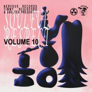 VA - Soulful Respect, Vol. 10 (2024)