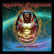 VA - Mysteries of Psytrance, Vol. 7 (2019)