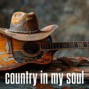 VA - country in my soul (2025)