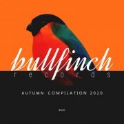 VA - Bullfinch Autumn 2020 Compilation (2020)