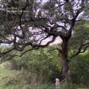 Terry Klein - Hill Country Folk Music (2025)