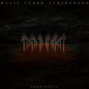 Magic Tuber Stringband - Needlefall (2024)