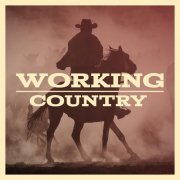 VA - Working Country (2023)