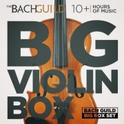 VA - Big Violin Box (2014)