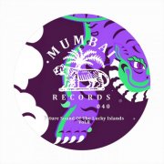VA - Future Sounds Of The Lucky Islands Vol. 8 (2025)