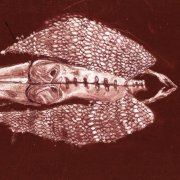 Cerberus Shoal - Homb (1999)