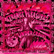 VA - Strange Pleasures: Further Sounds of the Decca Underground 1966-75 [3CD Remastered Box Set] (2008)