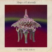 white white sisters - Shape Of Labyrinth (2021) Hi-Res