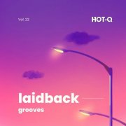 VA - Laidback Grooves 022 (2025)