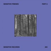 VA - Sensitive Friends - Part A (2024)