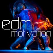 VA - EDM Motivation (2024)