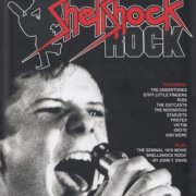 VA - Shellshock Rock: Alternative Blasts From Northern Ireland 1977-1984 (2020)