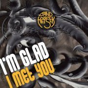 Band Of Heysek - I'm Glad I Met You (2019)