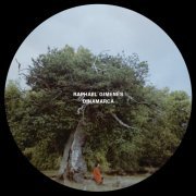 Raphael Gimenes - DINAMARCA (2024) [Hi-Res]