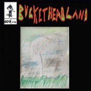 Buckethead - Book Of Wonders (Pike 609) (2023)