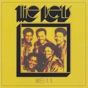 The Dells - Like It Is Like It Was (2024)