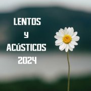 VA - Lentos y acusticos 2024 (2024)