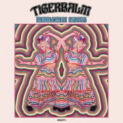 TigerBalm - Bubblegum Discos (2026) [Hi-Res]
