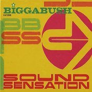 Bigga Bush - Sound Sensation (2021)