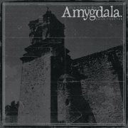 Amygdala - Our Voices Will Soar Forever (2019) flac