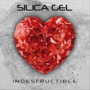 Silica Gel - Indestructible (2020)