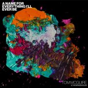 Tom McGuire & the Brassholes - A Name For Everything I'll Ever Be (2025)