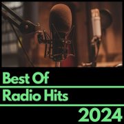 VA - Best Of Radio Hits 2024 (2024)