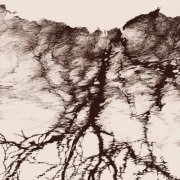 Ylva Ceder - Tree Vibrations (2026)