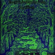 Slumdweller - Electronic Sounds from the Forest (2025)