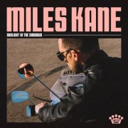 Miles Kane - Sunlight in the Shadows (2025) [Hi-Res]