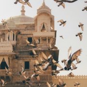 Turning Jewels Into Water - Morning Birds and Distant Drums (2026)
