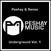 Peshay & Sense - Underground Vol.1 (2019)