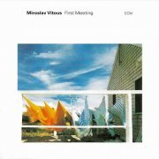 Miroslav Vitous - First Meeting (1980)