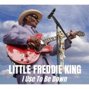 Little Freddie King - I Use To Be Down (2025) [Hi-Res]