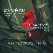 Mika Yonezawa - Dvořák Brahms Artenius Trio (2023)