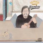 David Bromberg - The Best Of David Bromberg (1977)