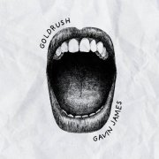 Gavin James - Goldrush (2025) Hi-Res