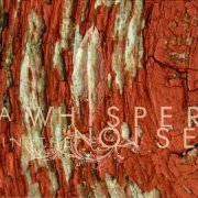 A Whisper In The Noise - To Forget (2012)