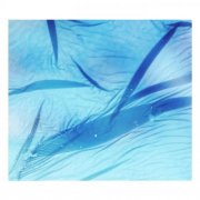 Jolanda Moletta & Karen Vogt - Sea-swallowed Wands (2025)
