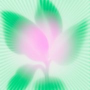 United Freedom Collective - The Plant Spirits (2025)