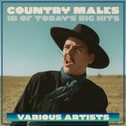 Various Artists - Country Males - 16 Of Today's Big Hits (2023)