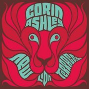 Corin Ashley - New Lion Terraces (2013)