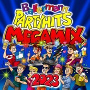 VA - Ballermann Party Hits Megamix 2023 (2023)