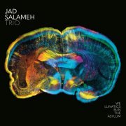 Jad Salameh Trio - We Lunatics Run the Asylum (2023) Hi Res